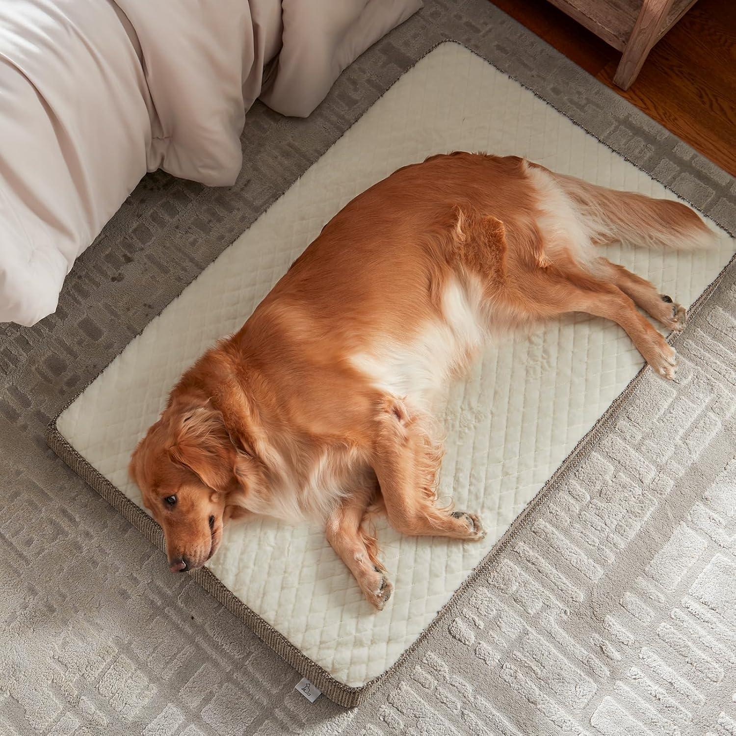 imageJOEJOY Orthopedic Dog Bed for Extra Large Dogs Washable Dog Crate Bed Large Sized with Removable Cover Egg Memory Foam Big Pet Beds Brown 47quotx29quotBeige