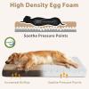 JOEJOY Orthopedic Dog Bed for Extra Large Dogs, Washable Dog Crate Bed Large Sized with Removable Cover, Egg Memory Foam Big Pet Beds, Brown, 47″x29″(Brown)