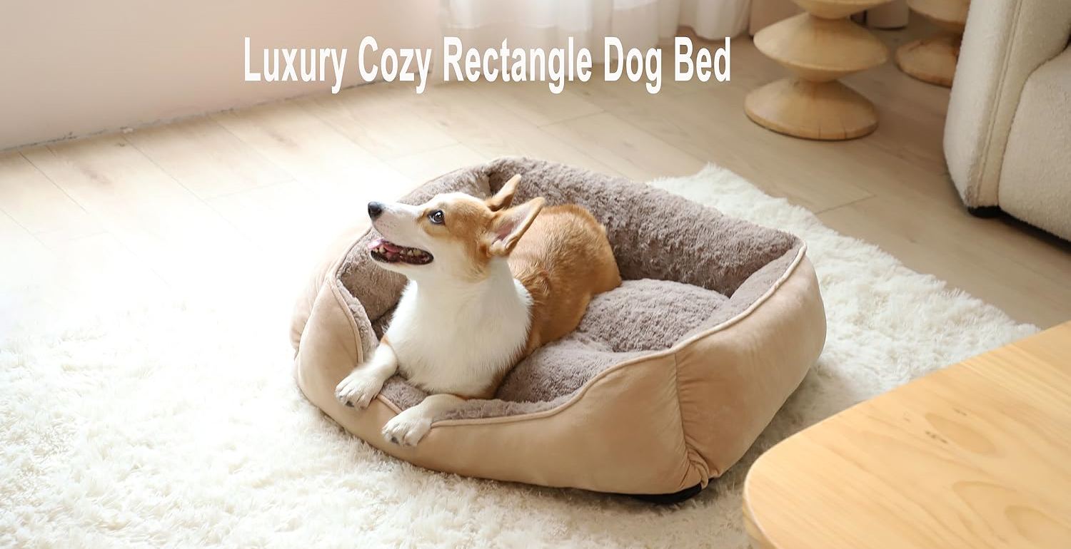 JOEJOY provides the finest selection of dog essentials cozy beds, Treat your dog to the best.